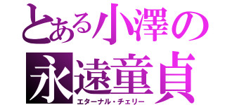 とある小澤の永遠童貞（エターナル・チェリー）