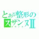 とある整形のスザンヌⅡ（スザンヌ）