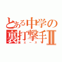 とある中学の裏打撃手Ⅱ（裏エース）