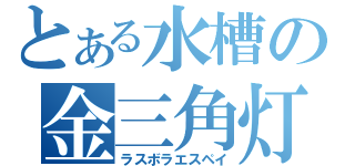 とある水槽の金三角灯（ラスボラエスペイ）