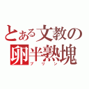 とある文教の卵半熟塊（プリン）