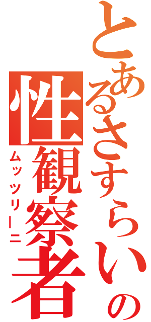 とあるさすらいの性観察者（ムッツリ―ニ）