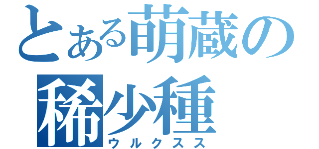 とある萌蔵の稀少種（ウルクスス）