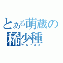 とある萌蔵の稀少種（ウルクスス）