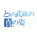 とある武蔵の真の姿（カッパ）