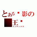 とある俠影の 王♬（インデックス）