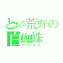 とある荒野の白蜘蛛（ホワイトスピン）