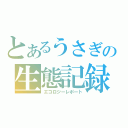 とあるうさぎの生態記録（エコロジーレポート）