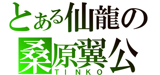 とある仙龍の桑原翼公（ＴＩＮＫＯ）