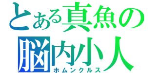 とある真魚の脳内小人（ホムンクルス）