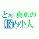 とある真魚の脳内小人（ホムンクルス）