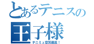 とあるテニスの王子様（テニミュ空耳最高！）