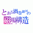 とある渦巻銀河の磁場構造（ＭＨＤ）