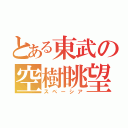 とある東武の空樹眺望（スペーシア）