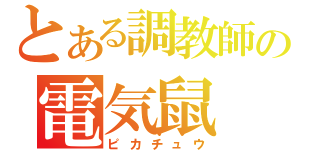 とある調教師の電気鼠（ピカチュウ）