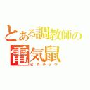 とある調教師の電気鼠（ピカチュウ）