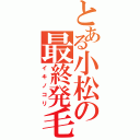 とある小松の最終発毛（イキノコリ）