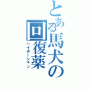 とある馬犬の回復薬（ハイポーション）