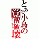 とある小鳥の覚醒破壊（ストームカイザー）