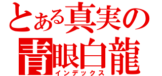 とある真実の青眼白龍（インデックス）