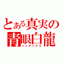 とある真実の青眼白龍（インデックス）