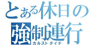 とある休日の強制連行（カルストダイチ）