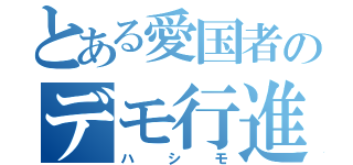 とある愛国者のデモ行進（ハシモ）