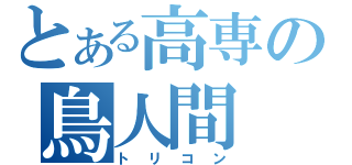 とある高専の鳥人間（トリコン）