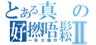 とある真の好撚唔鬆化Ⅱ（一吊大爆炸）