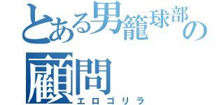 とある男籠球部の顧問（エロゴリラ）