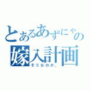 とあるあずにゃんの嫁入計画（そうなのか、）