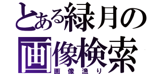 とある緑月の画像検索（画像漁り）