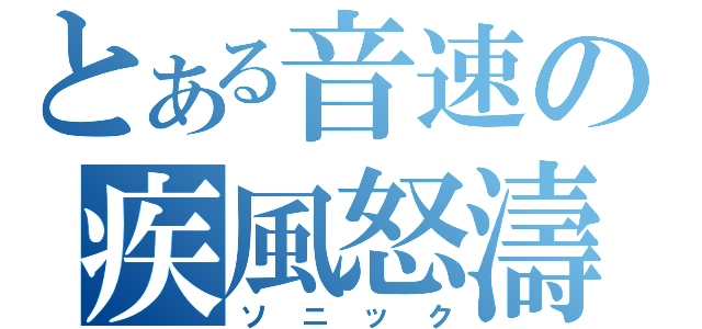 とある音速の疾風怒濤（ソニック）