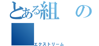 とある組の（エクストリーム）