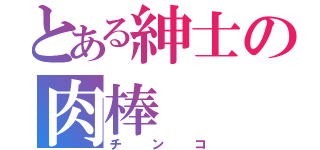 とある紳士の肉棒（チンコ）