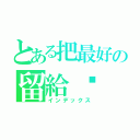 とある把最好の留給你（インデックス）