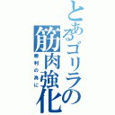 とあるゴリラの筋肉強化（勝利の為に）