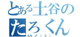 とある土谷のたろくん（たろ ♂ （ ３ ））