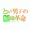 とある男子の庭球革命（テニスレボリューション）