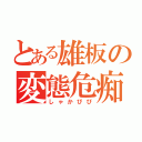 とある雄板の変態危痴害（しゃかぴぴ）