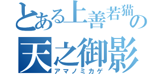 とある上善若猫の天之御影（アマノミカゲ）