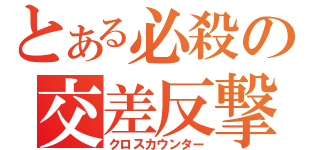 とある必殺の交差反撃（クロスカウンター）