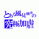 とある風見幽香の究極加虐（）