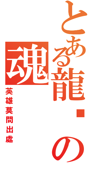 とある龍熦の魂（英雄莫問出處）