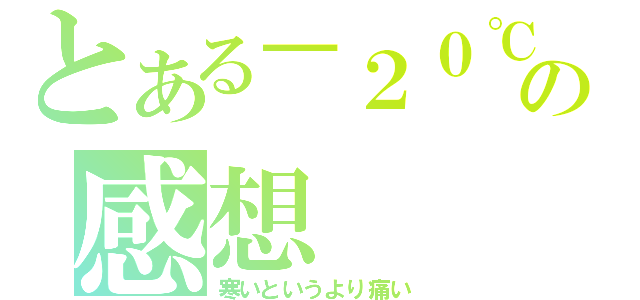 とある－２０℃の感想（寒いというより痛い）