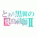 とある黒翼の飛鳥祓師Ⅱ（）