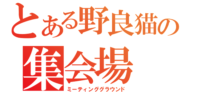 とある野良猫の集会場（ミーティンググラウンド）