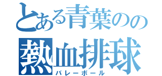 とある青葉のの熱血排球部（バレーボール）