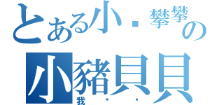 とある小雞攀攀の小豬貝貝（我❤伱）