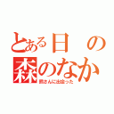 とある日の森のなか（熊さんに出会った）